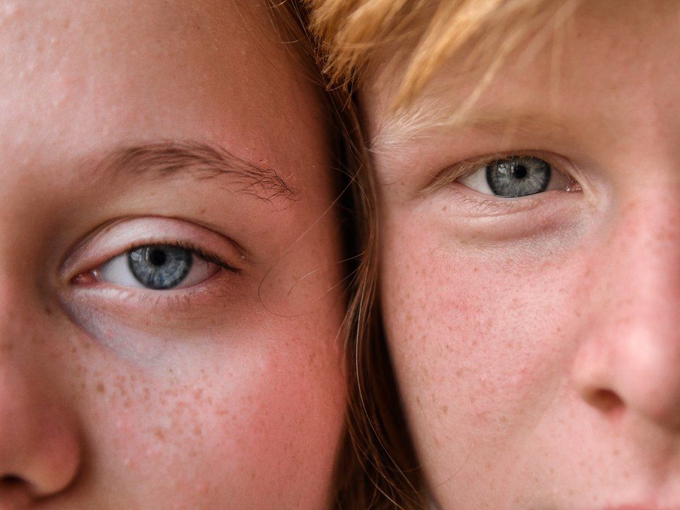 Online dating for lawyers